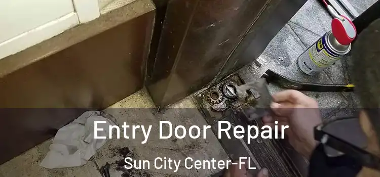 Entry Door Repair Sun City Center-FL
