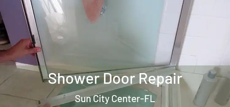 Shower Door Repair Sun City Center-FL