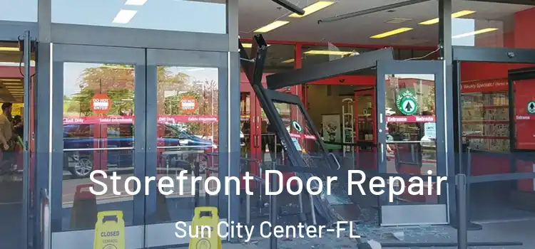 Storefront Door Repair Sun City Center-FL